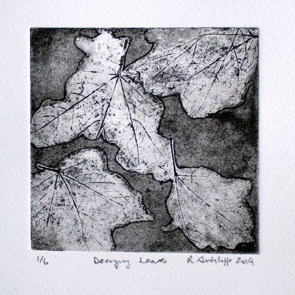 Decaying Leaves - electro-etching - 2019